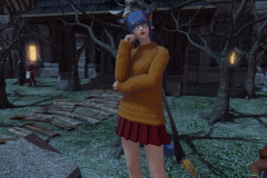 ffxiv_dx11_2023-10-24_20-43-08_OMGEorzea