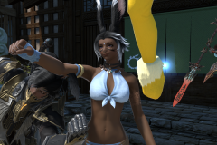 ffxiv_dx11_2023-07-25_20-35-58_SMSOMGEorzea_-_Lighter